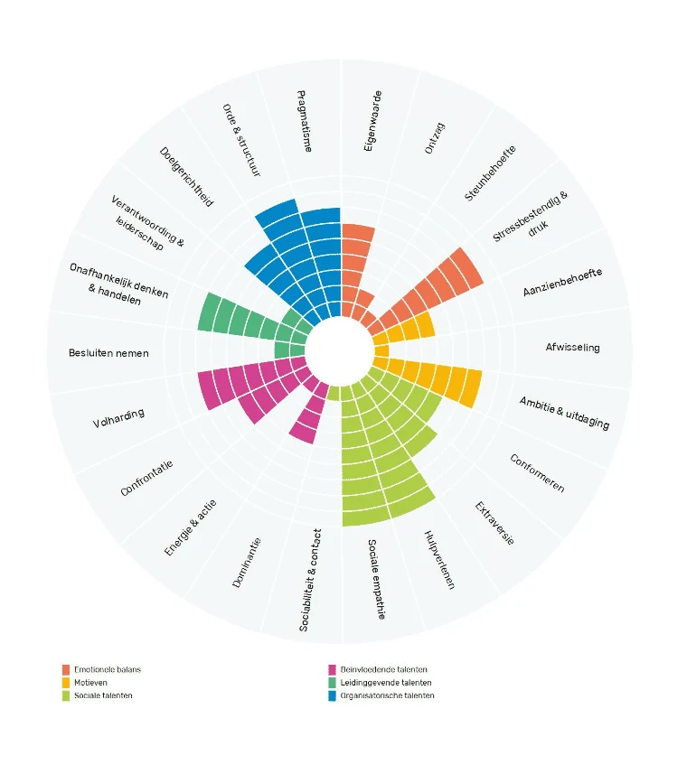 Cirkeldiagram van de TMA Teamanalyse met de talenten van een team